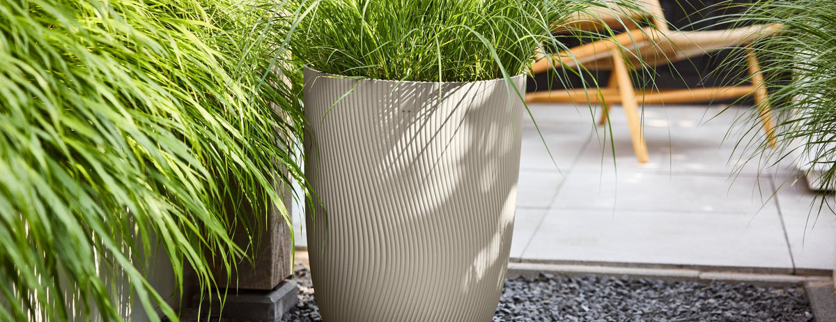 Elho Pflanztopf Sereh, Beige mit Gräsern auf einer Terrasse