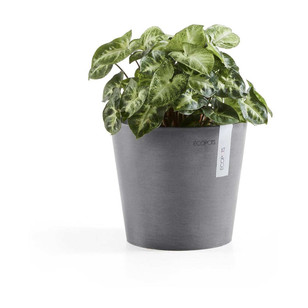 Ecopots Pflanzentopf Amsterdam, Grau, bepflanzt