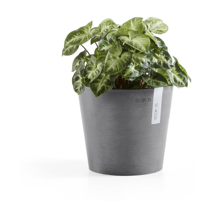 Ecopots Pflanzentopf Amsterdam, Grau, bepflanzt