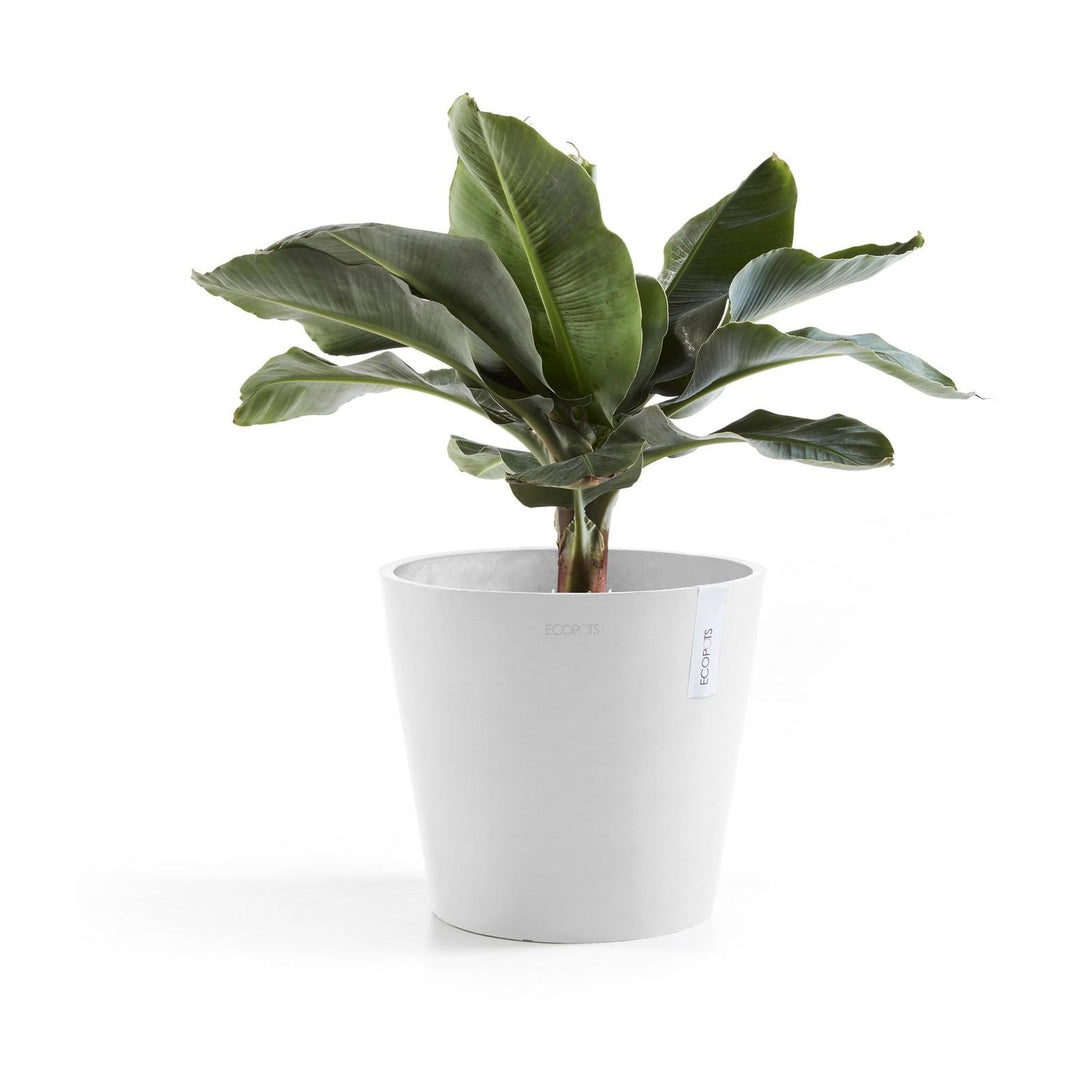 Ecopots Pflanzentopf Amsterdam, Weiss, bepflanzt