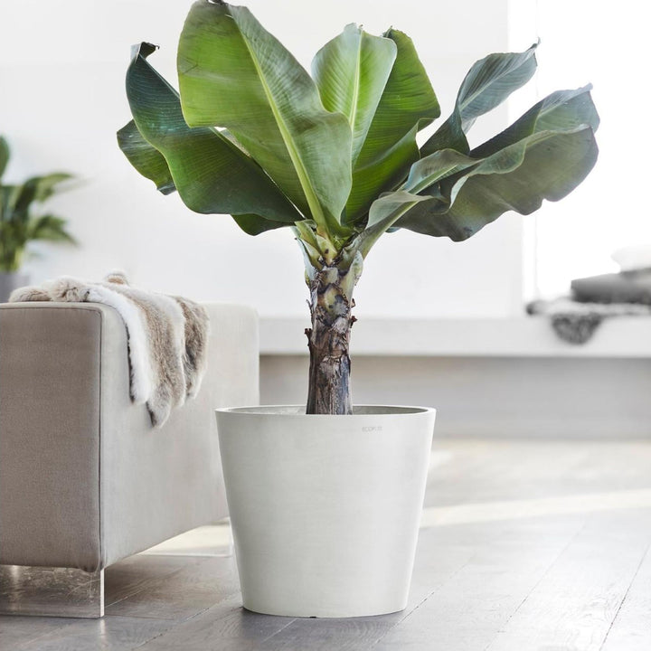Ecopots Pflanzentopf Amsterdam, Weiss, im Wohnraum