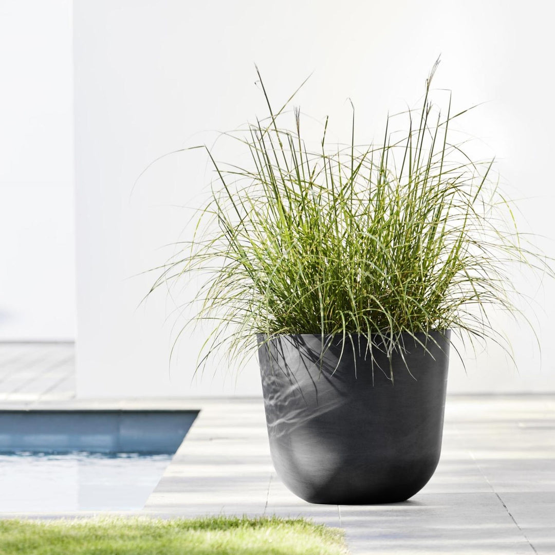 Ecopots Pflanzentopf Oslo, Dunkelgrau am Pool