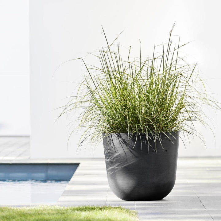 Ecopots Pflanzentopf Oslo, Dunkelgrau am Pool