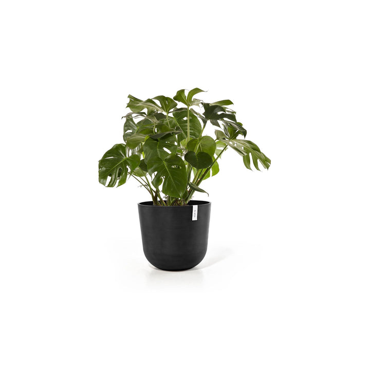 Ecopots Pflanzentopf Oslo, Dunkelgrau bepflanzt