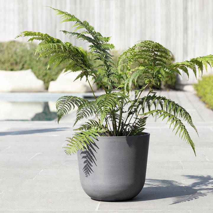 Ecopots Pflanzentopf Oslo, Grau auf der Terrasse