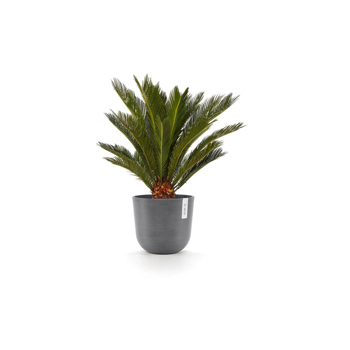 Ecopots Pflanzentopf Oslo, Grau bepflanzt