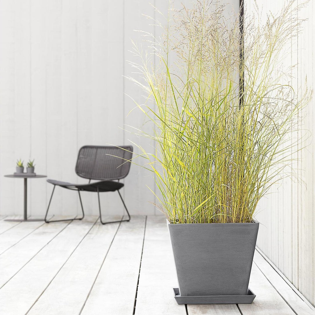 Ecopots Pflanzentopf Rotterdam Grau, mit Ziergras auf der Terrasse