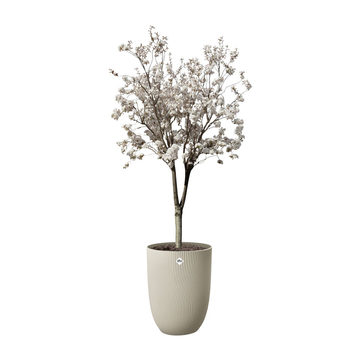 Elho Pflanzentopf Sereh Hoch 40 cm, Beige mit blühendem Bäumchen