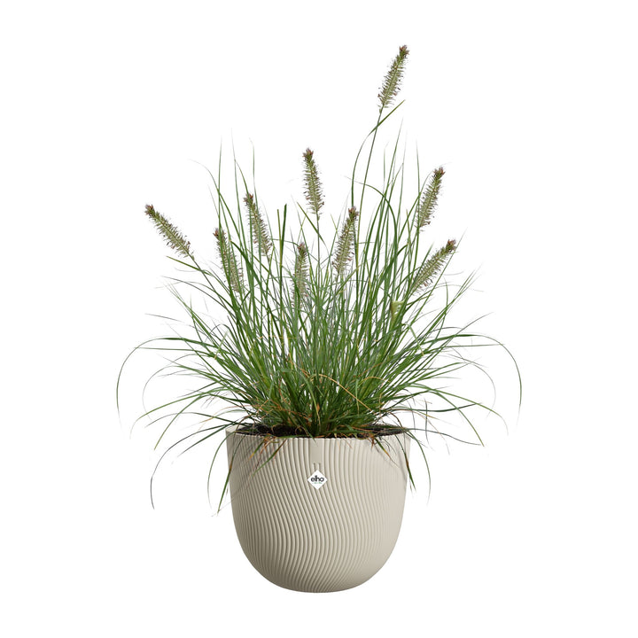 Elho Pflanzentopf Sereh Rund 40 cm, Beige mit Ziergras