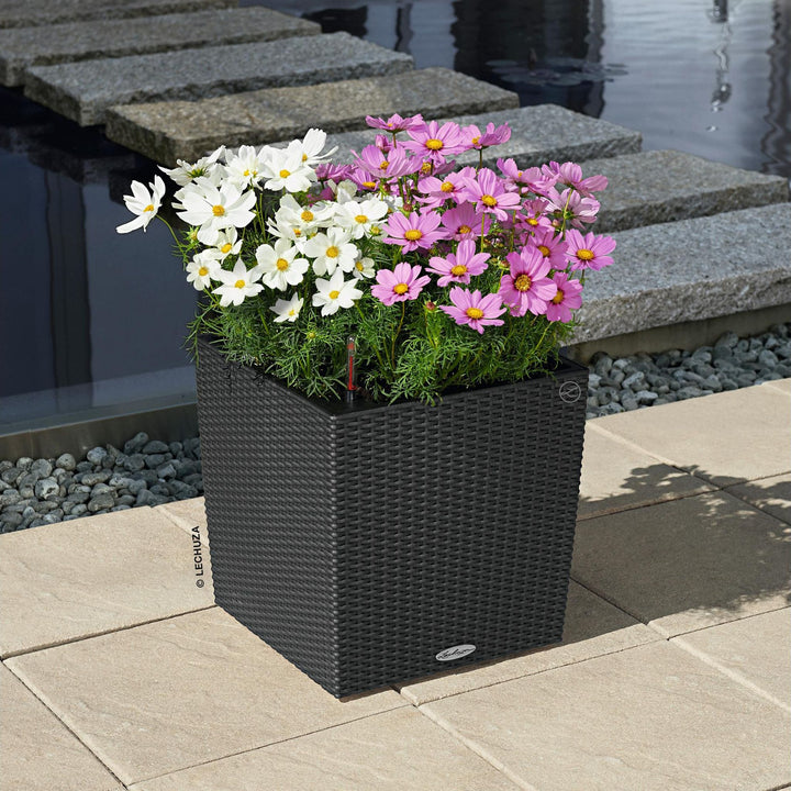 Lechuza Pflanzgefäss Cube Cottage 40, Granit mit rosa und weissen Blüten auf einer Steinterrasse