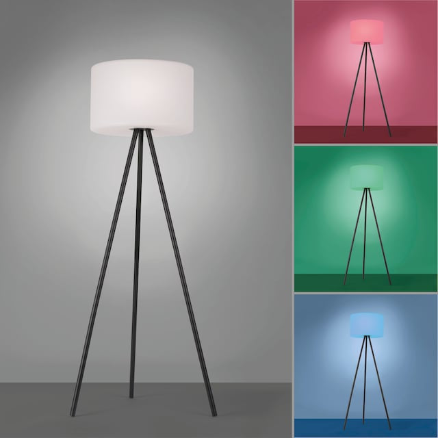 LED Solar Stehleuchte mit RGB Farbwechsel und Warmweiss Licht für verschiedene Stimmungen