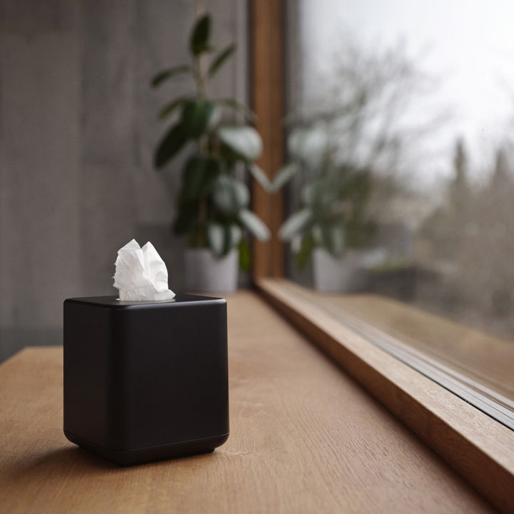 Zone Denmark Taschentuchbox Ume, Schwarz auf Holzablage am Fenster